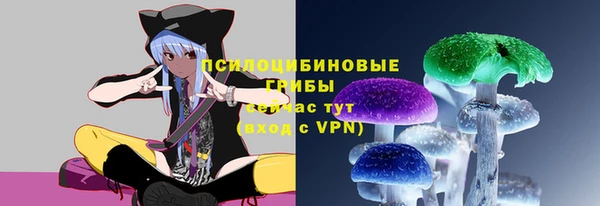 спайс Вяземский