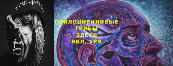 спайс Вяземский