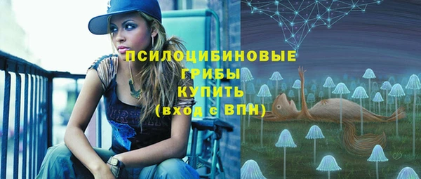 спайс Вяземский