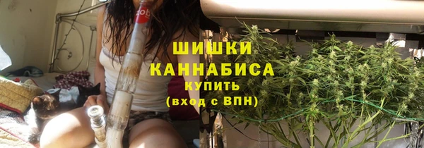 спайс Вяземский