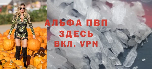 спайс Вяземский