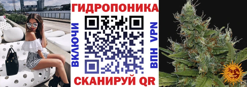 где найти наркотики Можайск Бошки марихуана гибрид